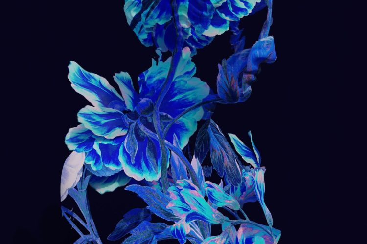 ProfileLeavesBlueSimonLeeJan2022 Growth in Profile III (Simon Lee)